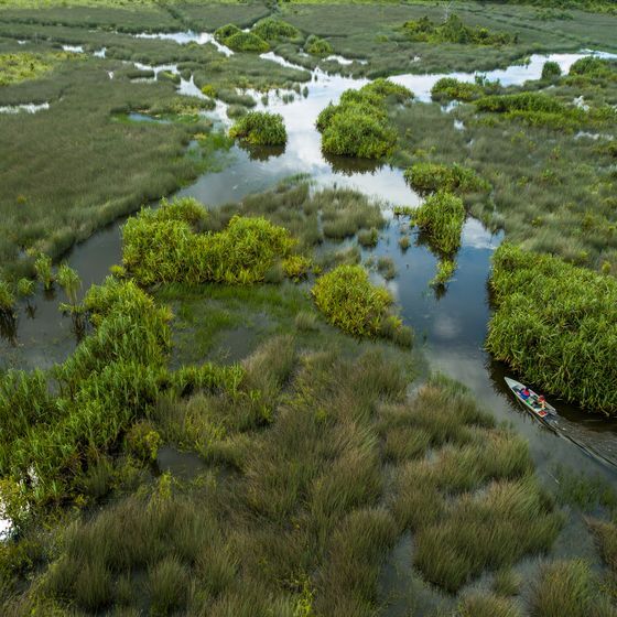 The Pahang is Malaysia's longest river.