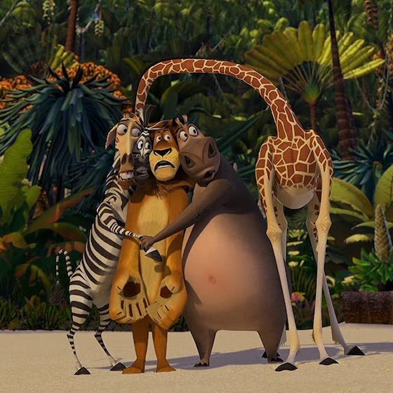 In the film Madagascar (2005), Melman gives Marty a thermometer for his birthday.