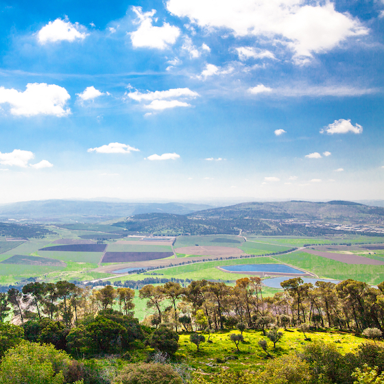 The Jezreel Valley is the most prosperous agricultural region in Israel.