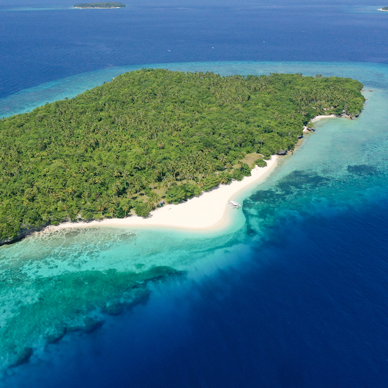 L’énoncé suivant contient des fautes : « Pour rallier les atolls ensoleillées du pacifique »
