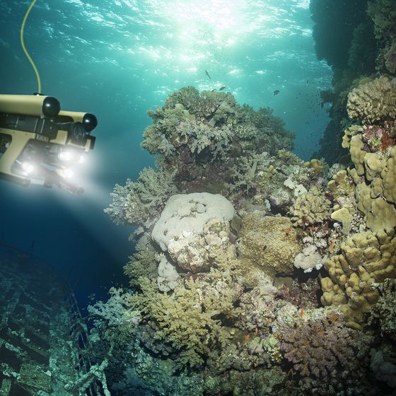 La moitié de l’océan reste aujourd’hui toujours inexplorée.