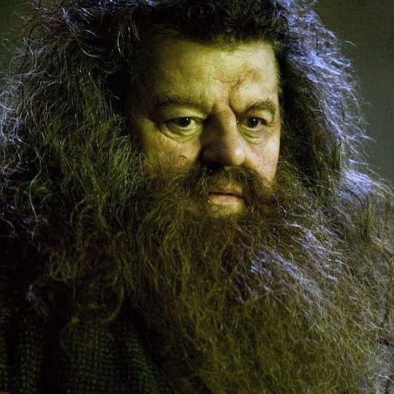 Le père de Rubeus Hagrid, un géant, l’abandonna trois ans après sa naissance.