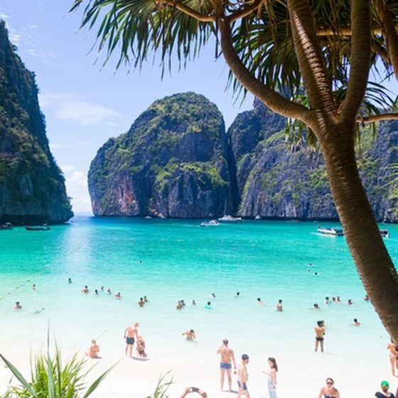 maya-bay-on-phi-phi-islands-in-thailand-is-one-big-reef-that-s-home-to-some-of-the-most-colourful-coral-and-exotic-fish-in-the-world