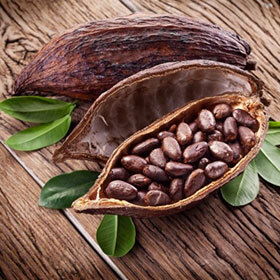 Brazil is the biggest producer of cocoa beans.