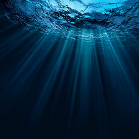 Most of the ocean is in complete darkness.