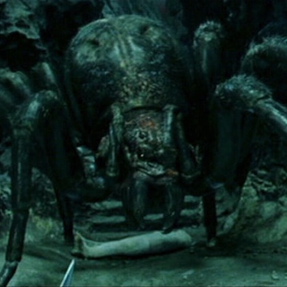 Shelob is the last descendant of Ungoliant.