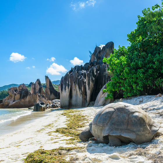 Seychelles is home to 2 UNESCO World Heritage sites.