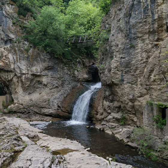 L’Homo sapiens est arrivé en Europe il y a environ 40 000-45 000 ans, selon les dernières études.