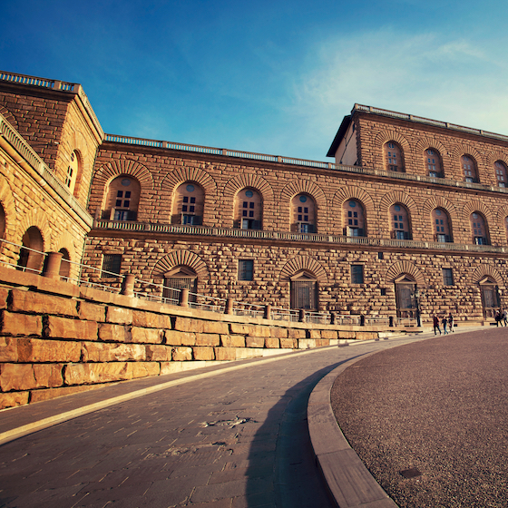 The Pitti Palace is the largest palace in Rome.
