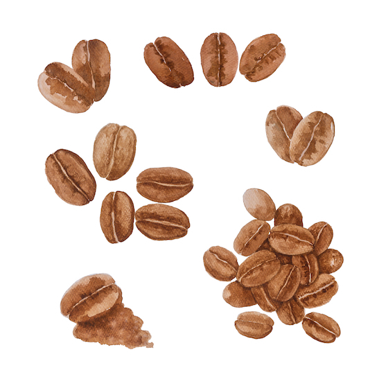 Latte art involves dipping brushes into a café au lait to create a work of art on a white canvas.
