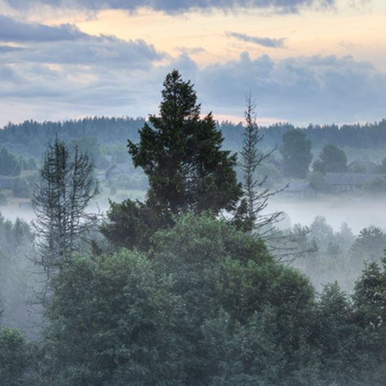 o-be-the-lung-of-russia-due-to-its-many-forests
