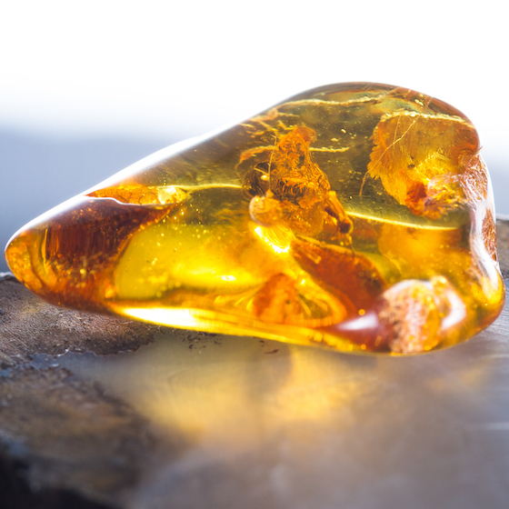 Amber is made from mineral-rich soil. 