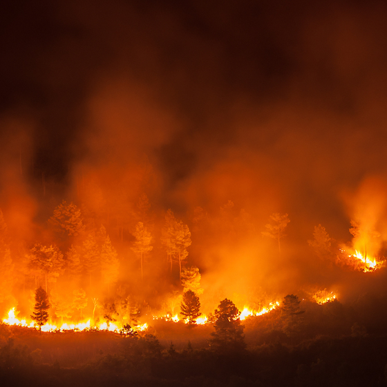 Revenge was behind 1997’s Indonesian wildfires, which saw smoke and haze drift all the way to Brunei, Thailand, Vietnam, and the Philippines. 