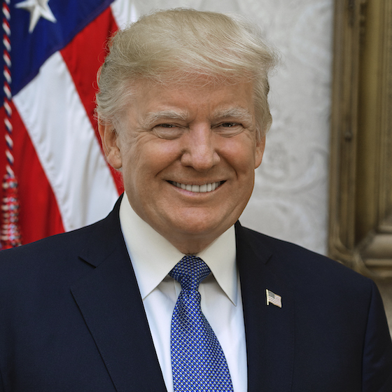 Donald Trump était la personnalité la plus recherchée sur Wikipédia en français en 2020.