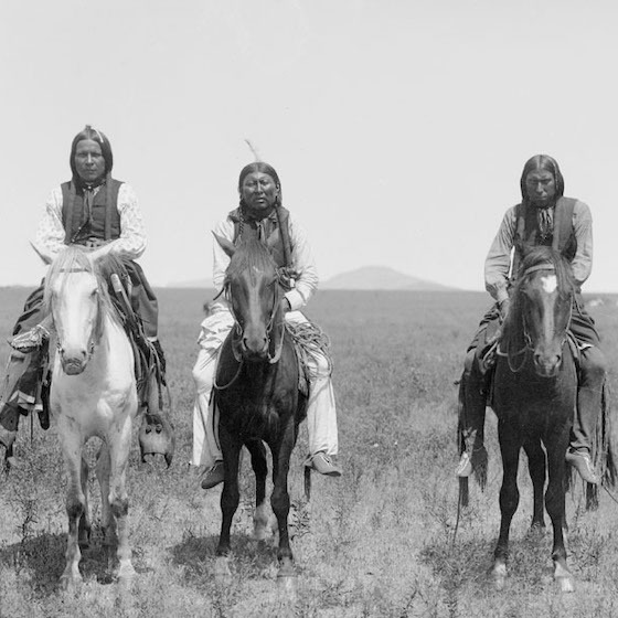 The Comanche were great farmers.