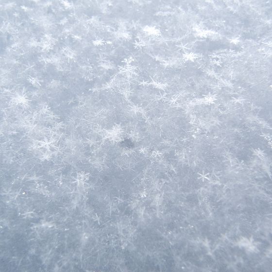 Snowflakes are always symmetrical.
