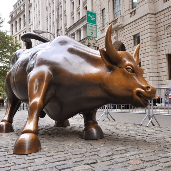 The term “bull market” refers to a rising market.