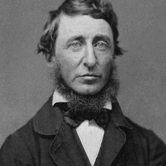 Henry David Thoreau a passé deux ans dans la jungle amazonienne afin d’écrire son livre Walden.