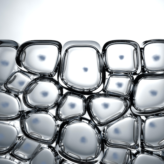 Skin synthesizes vitamin D.