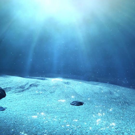 The deep sea begins where the sunlight begins to fade.