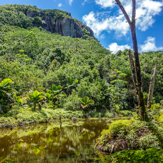 En raison de leur situation géographique, peu de gens habitent aux Seychelles. 
