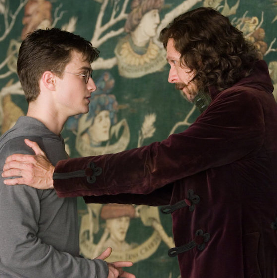 Sirius Black et Nymphadora Tonks sont cousins.