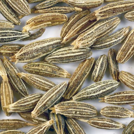 Cumin was first used in cooking during the Middle Ages.