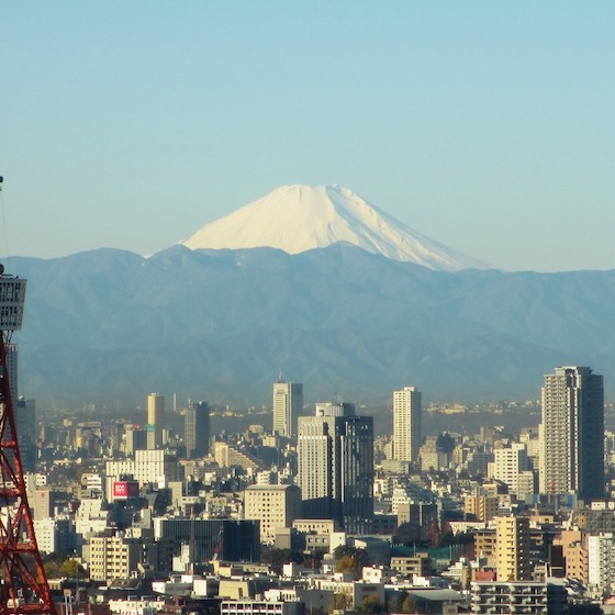 La tour de Tokyo est la plus haute tour du Japon.