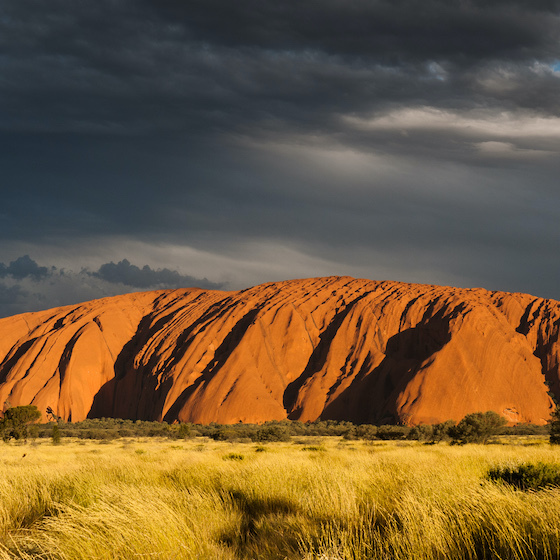 Oceania was the last continent colonized by Homo sapiens.