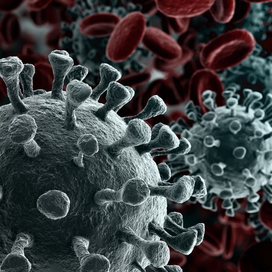 The SARS-CoV-2 virus causes COVID-19 symptoms within 14 days of exposure.