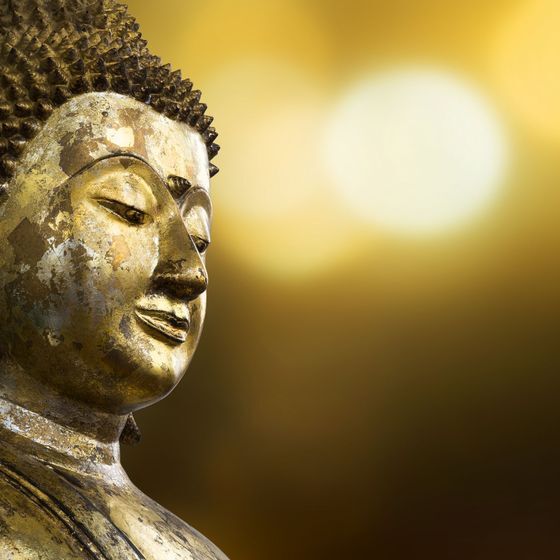 The basic teachings of Buddhism are called the eight commandments.