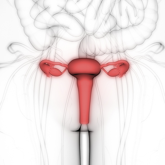 The fluid that lubricates the vagina during sexual arousal is produced by the Meyer and Croper glands.