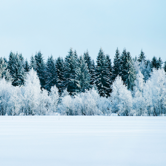 Lapland is home to Äteritsiputeritsipuolilautatsijänkä, a town with the longest name in Finland, and the third-longest in Europe. 