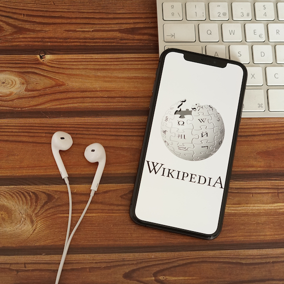 The largest portion of Wikipedia's revenue comes from donations and contributions by users and businesses.