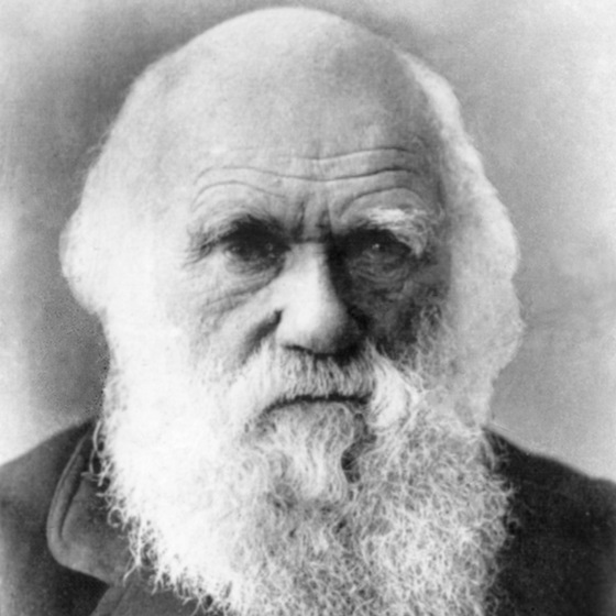 Charles Darwin a pu écrire De l’origine des espèces en 10 ans.