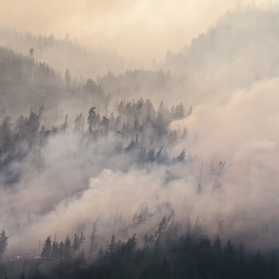 The deadliest fire in Canadian history was in Miramichi, New Brunswick in 1825, when ⅕ of the province’s forests burned to the ground.