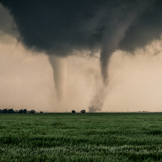 Tornadoes that develop from a quasi-linear convective system occur primarily at night and in the morning.