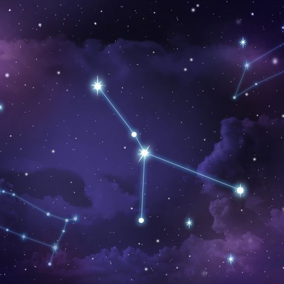 People born under the Cancer sign are Cartesian and down to earth.