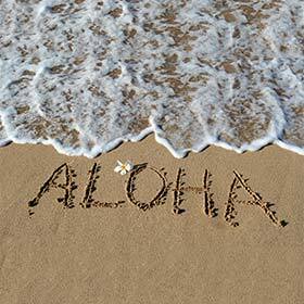 Hawaï est surnommée « Aloha State » parce qu’Aloha signifie « patrie des dieux » en langue polynésienne.