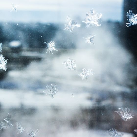 The most elaborate snowflakes are made up of 85 ice crystals.