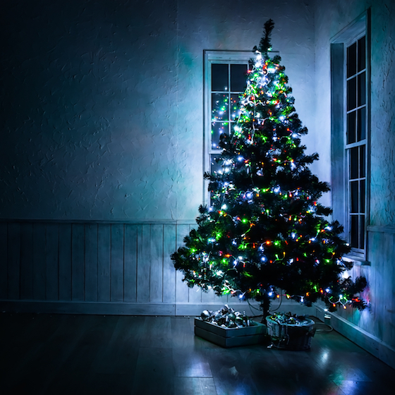 Thomas Edison invented the first Christmas lights.