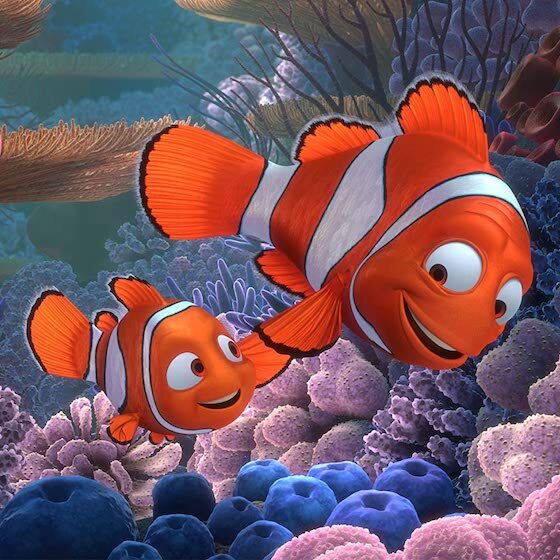 In Finding Nemo (2003), Nemo's atrophied fin is due to a genetic malformation.