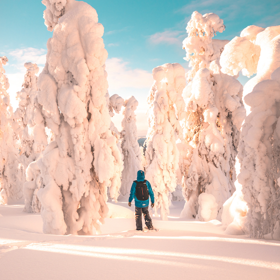 Several of Finland’s national parks are located in Lapland.