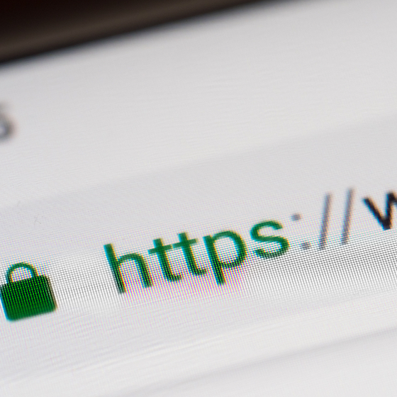 The most expensive website domain ever sold was Voice.com — it sold for US$30 million.