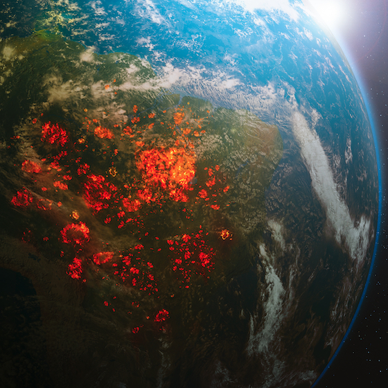 The Amazon Rainforest is burning more than it ever has before.