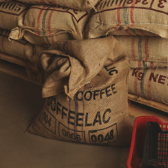 En Europe, l’exportation des grains de café n’a débuté qu’au XVIIe siècle.