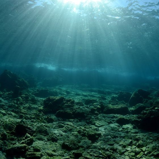 La profondeur moyenne des fonds marins est de 5 000 kilomètres.