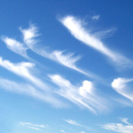Cirrocumulus, Cirrostratus, and Cirrus clouds are the only kinds of clouds that form at high altitudes.
