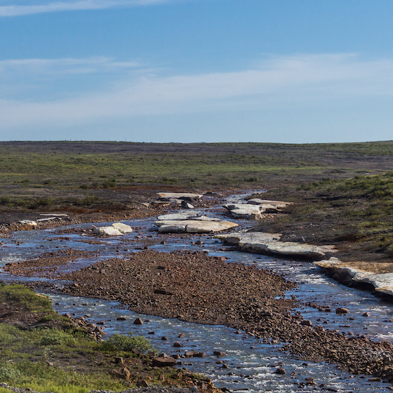 The second-largest oil spill in modern Russian history occurred in 2020.