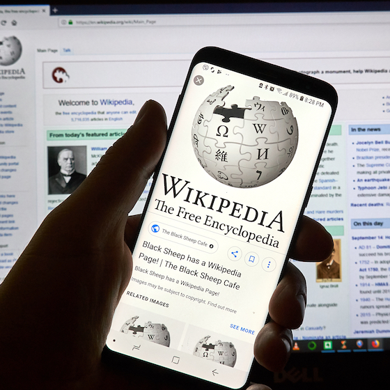 Wikipedia was once offered in CD-ROM and DVD format.